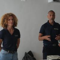 cesim lifou