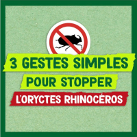 3 gestes simples