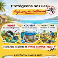 campagne sensibilisation dengue