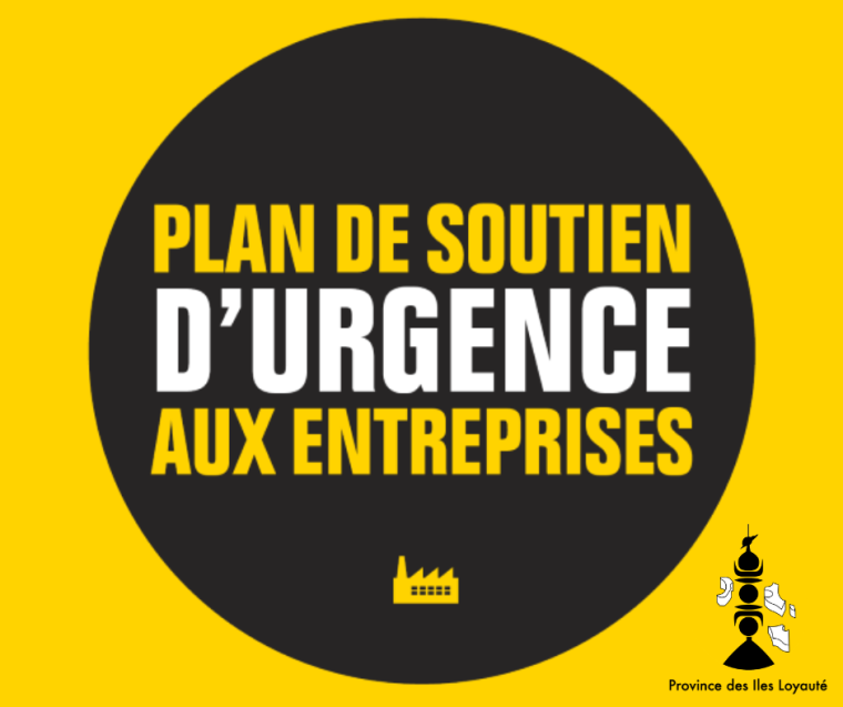 fonds de solidarité aux entreprises