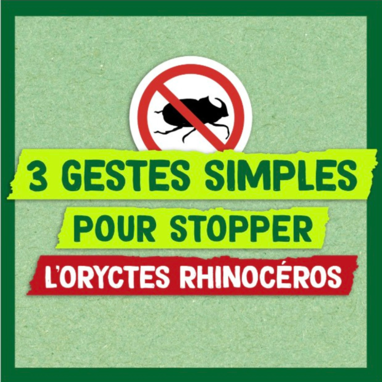 3 gestes simples