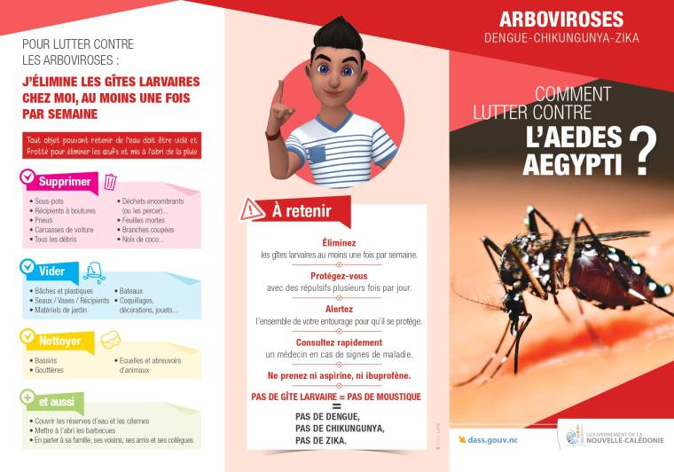 campagne dengue 2026